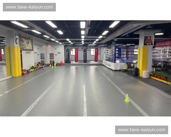 搏击比分——激情与洞察的终极赛场